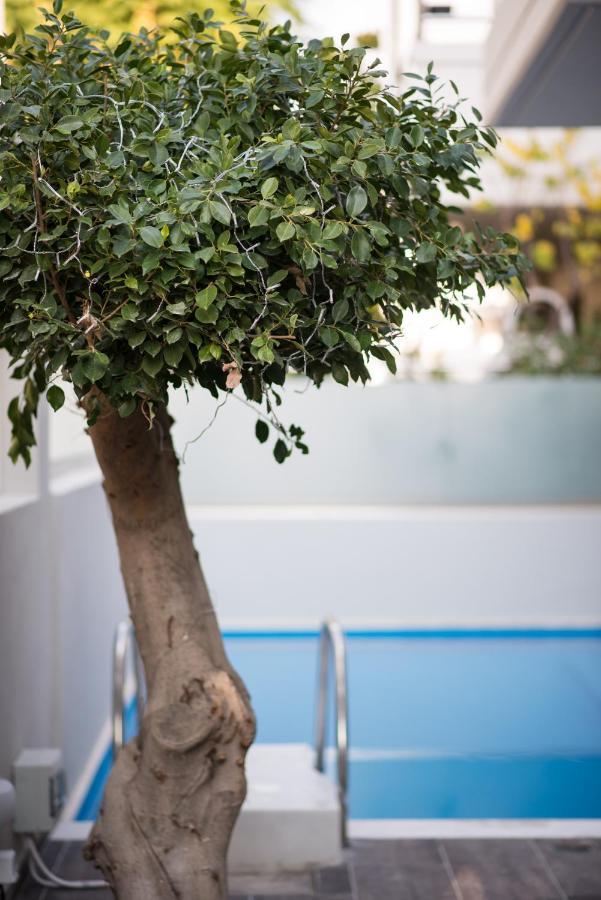 Palmyra Athens Villa Eksteriør bilde